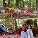 苏州旅游 缩略图 9