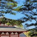 宜昌旅游 缩略图 2