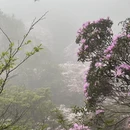 深圳旅游 缩略图 2