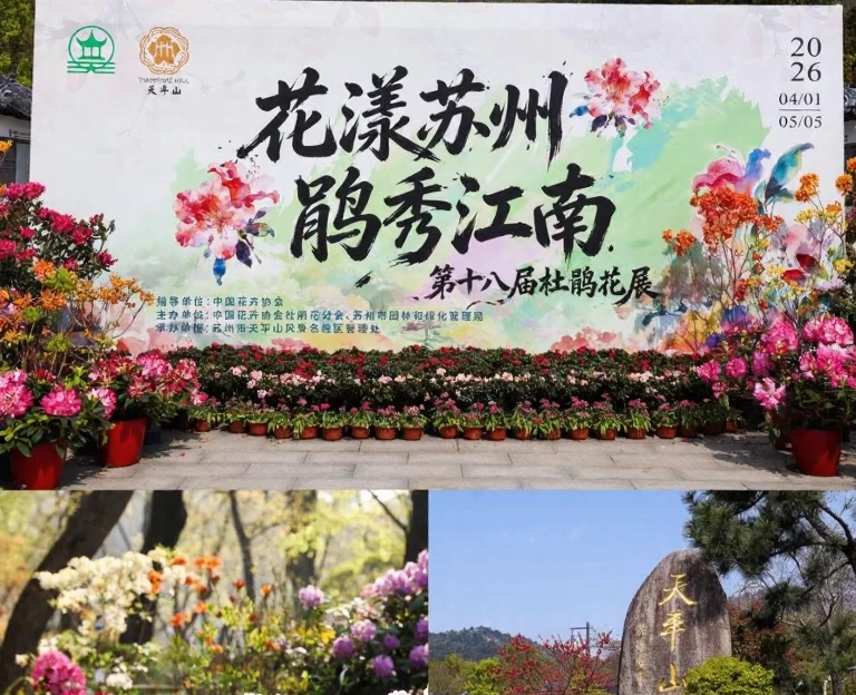 苏州旅游 1