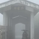 深圳旅游 缩略图 9