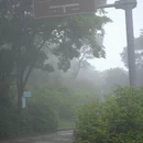 深圳旅游 缩略图 8
