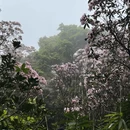 深圳旅游 缩略图 4