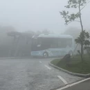 深圳旅游 缩略图 10