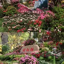 苏州旅游 缩略图 6