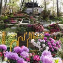 苏州旅游 缩略图 5