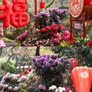 苏州旅游 缩略图 8