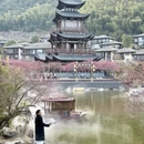上饶旅游 缩略图 3