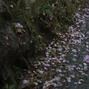 广州旅游 缩略图 2