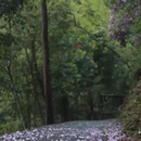 广州旅游 缩略图 3