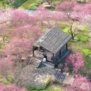 上饶旅游 缩略图 4