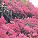 武汉旅游 缩略图 6