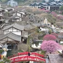 上饶旅游 缩略图 15