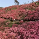 武汉旅游 缩略图 2