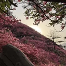 武汉旅游 缩略图 1