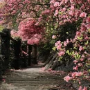 武汉旅游 缩略图 9