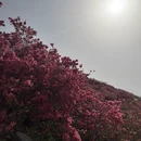 武汉旅游 缩略图 3