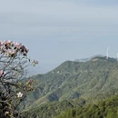 赣州旅游 缩略图 1