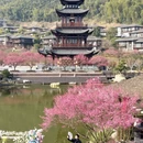 上饶旅游 缩略图 17