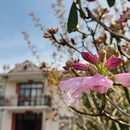 赣州旅游 缩略图 3