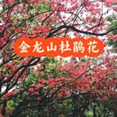宣城旅游 缩略图 1