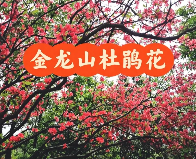 宣城旅游 1