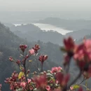 武汉旅游 缩略图 5