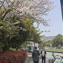 无锡旅游 缩略图 2