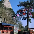 宜昌旅游 缩略图 6