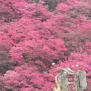 武汉旅游 缩略图 1