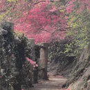 武汉旅游 缩略图 2