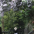 广州旅游 缩略图 9