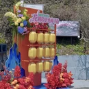 宜昌旅游 缩略图 10