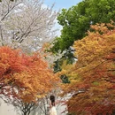 宁波旅游 缩略图 1