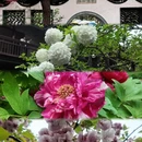 扬州旅游 缩略图 3