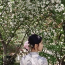 北京旅游 缩略图 1