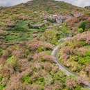 宁波旅游 缩略图 3