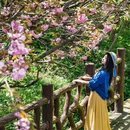 宁波旅游 缩略图 8