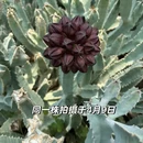 厦门旅游 缩略图 6