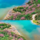 宁波旅游 缩略图 7