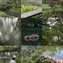 杭州旅游 缩略图 1