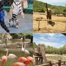 湖州旅游 缩略图 4