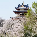无锡旅游 缩略图 9