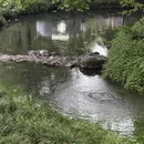 杭州旅游 缩略图 3
