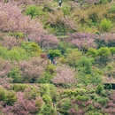 宁波旅游 缩略图 10