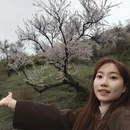 伊犁旅游 缩略图 5