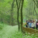 南京旅游 缩略图 1