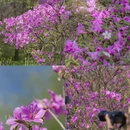 宁波旅游 缩略图 15