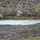 伊犁旅游 缩略图 1