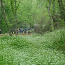 南京旅游 缩略图 4
